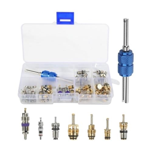 40PCS Car AC Valve Core Kit, Car Accessories Air Conditioner Schrader Valve