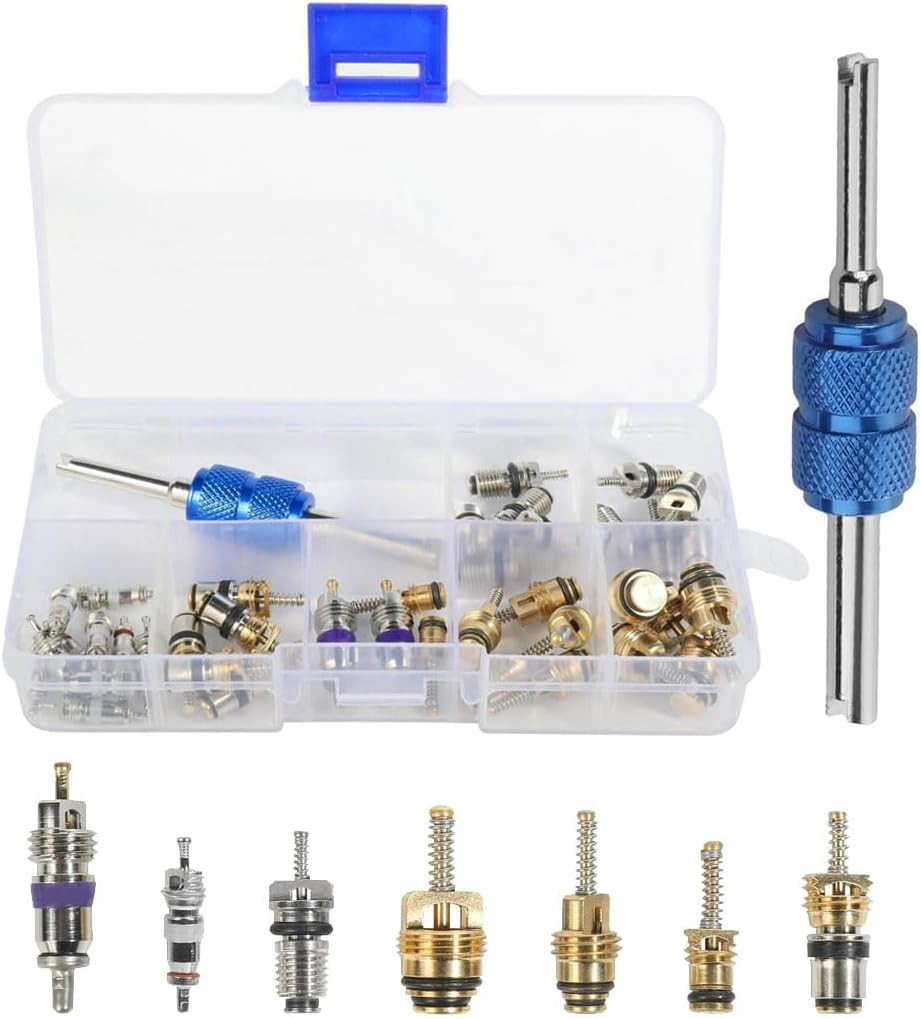 40PCS Car AC Valve Core Kit, Car Accessories Air Conditioner Schrader Valve Kit,