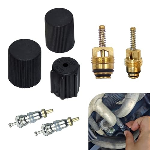 7 PCS Air Conditioning Valve Core Kit, AC Low Pressure Port Cap, AC