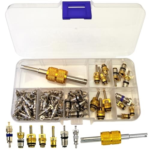 270PCS O-Ring Set + 49PCS Car Air Conditioner Valve Core Car A/C Repair Kit