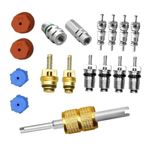 17 PCS Air Conditioning Valve Core Kit, R12 R134A A/C Ducts Pressure Caps and