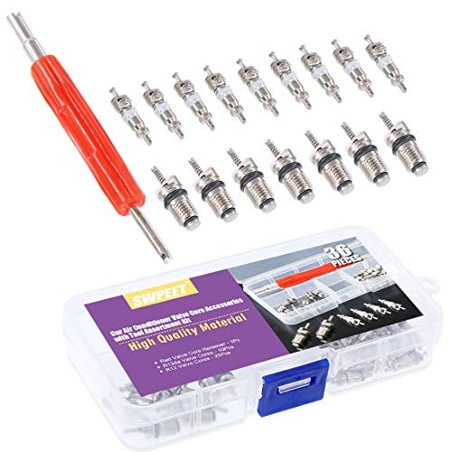 36Pcs Air Conditioner R12 R134a Valve Cores Kit, Including Assortment R12