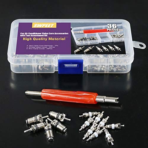 36Pcs Air Conditioner R12 R134a Valve Cores Kit, Including Assortment R12